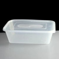 PLASTIC CONTAINER & LIDS 500cc [250 PCS]