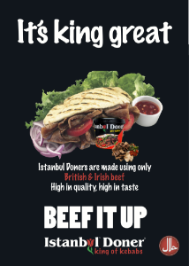 ** DONER KEBAB - ISTANBUL [10Kg] *H