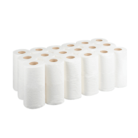 TOILET ROLLS  [36 PCS]