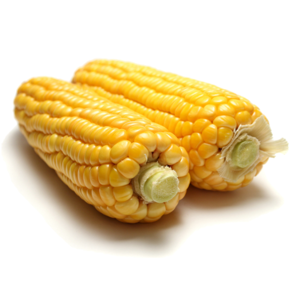 CORN ON THE COB [48 X 397g]